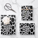 Buscar reptil papel de regalo General y unisex