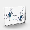 Buscar sinapsis Neurología