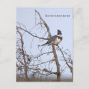 Buscar pescadores postales Para todos