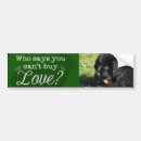 Buscar newfie pegatinas parachoque Newfy