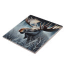 Buscar burros azulejos Naturaleza