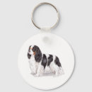 Buscar cavalier llaveros Blenheim