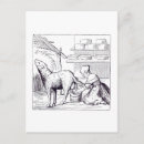 Buscar queso suizo postales Animal