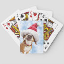 Buscar sombrero barajas de cartas Humor