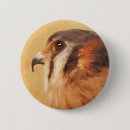 Buscar falcón chapas Raptor