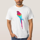 Buscar macaw ropa Verde