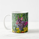 Buscar conejo de pascua tazas General y unisex