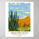 Buscar órgano posters cactus