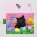 Buscar gatito de pascua postales Pasatiempo
