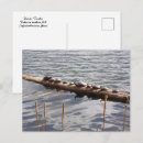Buscar diez postales General y unisex