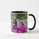 Buscar gargoyles tazas Arquitectura