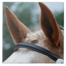 Buscar ecuestres azulejos Inglés