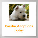 Buscar west highland terrier arte White