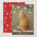 Buscar imagen del gato tarjetas Para mascotas