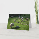 Buscar laberinto tarjetas Camino