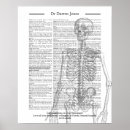 Buscar radiólogo posters Médica