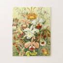 Buscar vintage floral puzzles Para todos