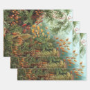 Buscar plantas papel de regalo Selva tropical