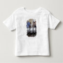 Buscar marqués camisetas Provincia