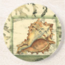 Buscar concha posavasos Playa