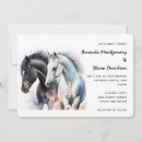 Buscar caballos negros invitaciones Caballo negro