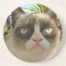 Buscar gruñón posavasos Gato