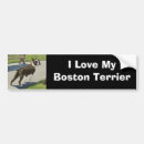 Buscar boston pegatinas parachoque Perro