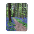 Buscar wildflower imanes Paisaje