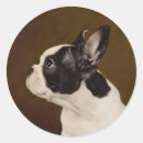 Buscar frenchie negro postales Lindo