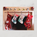 Buscar representación tarjetas Ninguna gente