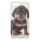 Buscar patas del perro iphone fundas Animales