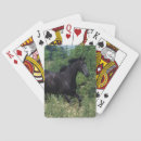 Buscar caballos barajas de cartas De pura raza