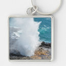 Buscar hawai llaveros Océano