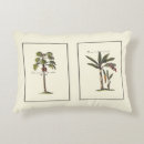 Buscar palmera cojines Palma