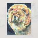 Buscar chow chow postales Vaca
