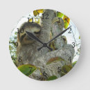 Buscar eslogan relojes de pared Vida silvestre