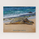 Buscar tortuga de mar hawaiana puzzles General y unisex
