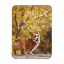 Buscar corgis imanes Para todos