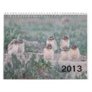 Buscar zorro rojo calendarios Fauna