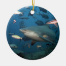 Buscar tiburón adornos Tiburones