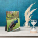 Buscar reales placas fotograbadas Azul