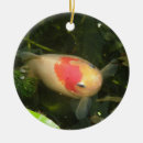 Buscar estanque de peces adornos Animales