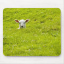 Buscar cordero alfombrillas de raton Ganado