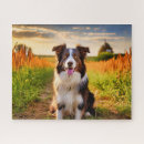 Buscar collies puzzles De perros