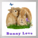 Buscar amante del conejo posters Amantes de los animales
