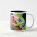 Buscar nicaragua tazas Rana de árbol