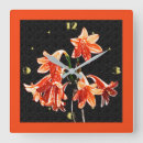 Buscar de los daylilies Daylily