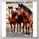 Buscar caballo arte Vaquero