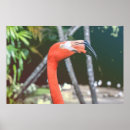 Buscar cerca fotografía Rosa