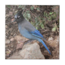 Buscar cresta azulejos Montaña